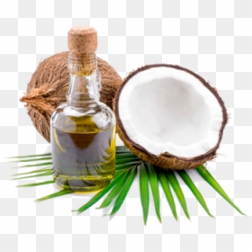 Refined Coconut Oil - Coconut Oil Images Png, Transparent Png - coconut oil png