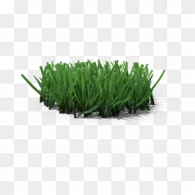 Sweet Grass, HD Png Download - lawn care png