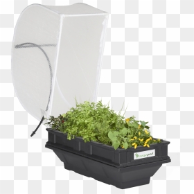 Small Raised Garden Bed With Cover - Small Vegepod, HD Png Download - arbusto png
