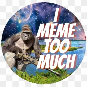 Made A Harambe Version Because I"m Bored - Macaque, HD Png Download - harambe.png