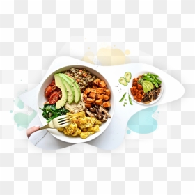 Balanced Plate Of Food, HD Png Download - veg dishes png