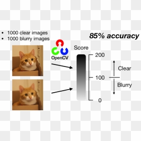 Deep Learning Blur Detection, HD Png Download - blurry transparent png