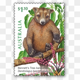 Lemuroid Ringtail Possum Png, Transparent Png - past due stamp png