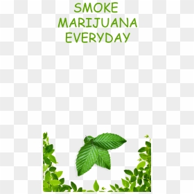 Transparent Weed - Custom Snapchat Filter Png, Png Download - smoke weed everyday png