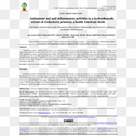Document, HD Png Download - arbusto png