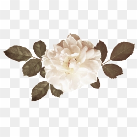 Blooming Rose Flower Bouquet Png - Transparent Background Brown Flowers Png, Png Download - rose flower bouquet png