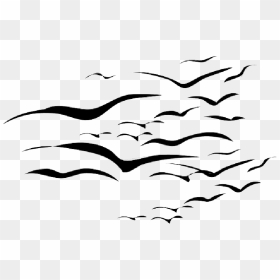 Drawing, Sky, Birds, Bird, Flying, Shape, Storm, Group - Easy Bird In The Sky Drawing, HD Png Download - white birds flying png