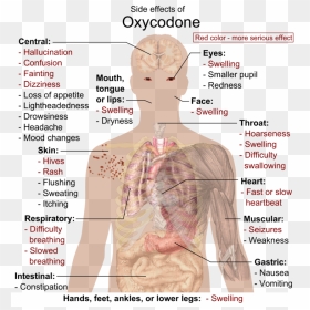 Cat Drug Side Effects, HD Png Download - side face png