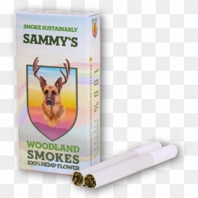 New Sammys 10 Pack High Res Transparent April 2020 - Sammy's Woodland, HD Png Download - smoke weed everyday png