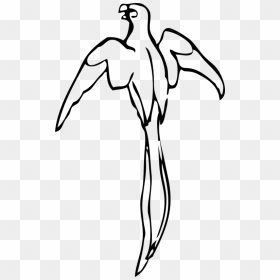 Vector Parrot Black And White - Outline Of A Parrot, HD Png Download - white birds flying png