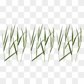 Free Png Download Grass Blade Texture Png Images Background - Blade Of Grass Png, Transparent Png - minecraft grass png