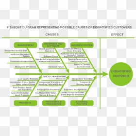 Fishbone Diagram For Poor Customer Service, HD Png Download - vhv