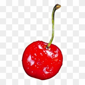 Cherry Free Download Png - Transparent Background Cherries Transparent, Png Download - cherry fruit png