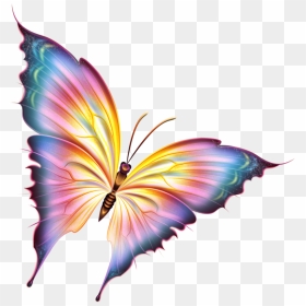 Beautiful Butterfly Pictures Png, Transparent Png - butterfly cartoon png