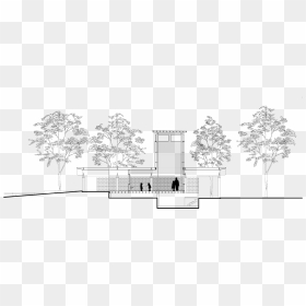 Plan Showing Side View Rendering Of Christine"s Home - Sketch, HD Png Download - tree plan png black and white