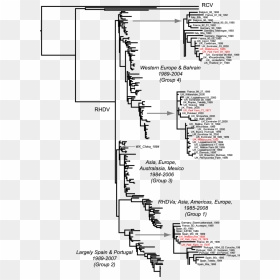 Diagram, HD Png Download - tree plan png black and white