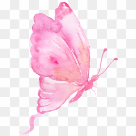 This Backgrounds Is Teenage Girl Butterfly Cartoon - Pink Butterfly Transparent Background, HD Png Download - butterfly cartoon png