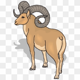 View Shadow Sheep - Ram Clipart, HD Png Download - ram horns png