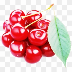 Red Cherry Png Free Image Download - Png Cherry Fruit Hd, Transparent Png - cherry fruit png