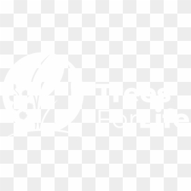 Graphic Design, HD Png Download - tree plan png black and white