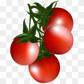 Transparent Cherry Clipart - Cherry Tomato Clipart, HD Png Download - tomato cartoon png