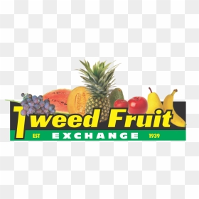 Tweed Fruit Exchange"  Style="max-height - Fruits And Vegetables, HD Png Download - fruits and vegetables basket png