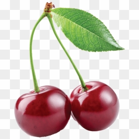 Cherry Png Hd Quality - Cherry Png, Transparent Png - cherry fruit png