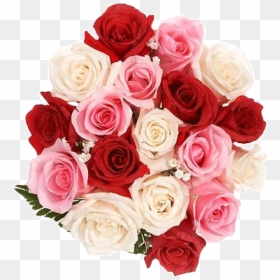 Store Pictures, W - Eid Mubarak Wishes With Flowers, HD Png Download - rose flower bokeh png