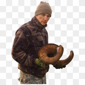 Ram Horns Png, Transparent Png - ram horns png