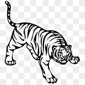 Angry Tiger Attacking Image Png, Transparent Png - angry tiger png