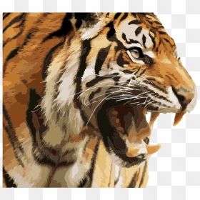 Angry Tiger - Transparent Angry Tiger Png, Png Download - angry tiger png