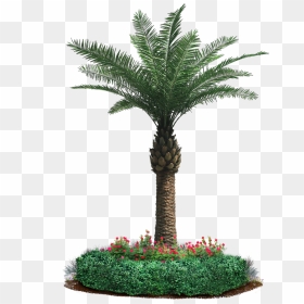 Our Motto Is “leaf It To Us” And It Holds The Company"s - Date Palm Tree Craft, HD Png Download - tree garden png
