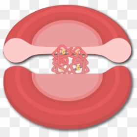 Red Blood Cell, HD Png Download - blood symbol png