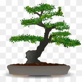 Bonsai Tree Vector Free, HD Png Download - tree garden png