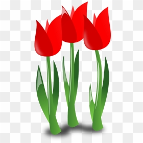 April Flowers Clip Art, HD Png Download - flowers plants png