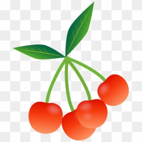 Cherry Fruit Clipart - さくらんぼ イラスト 無料, HD Png Download - cherry fruit png