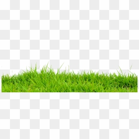 2016 Teamscaping Inc - Green Pastures Png, Transparent Png - grass in png