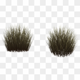 Thumb Image - Grass, HD Png Download - grass in png