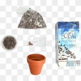 Diy Miniature Indoor Bonsai Tree Garden - Flowerpot, HD Png Download - tree garden png