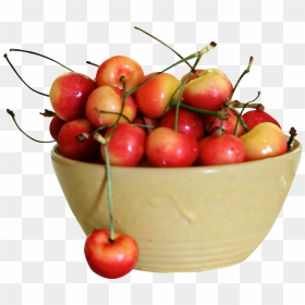 Fruits Png Transparent Image - Cherry, Png Download - cherry fruit png