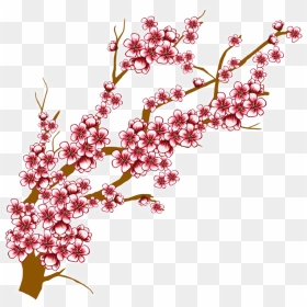 Thumb Image - Cherry Blossom Tree Branches Drawing, HD Png Download - flower haar png