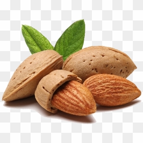 Thumb Image - Almond Photo Transparent Background, HD Png Download - single almond png