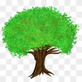 Cartoon Forest Tree Transparent, HD Png Download - tree garden png