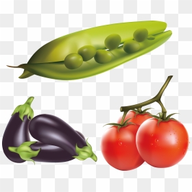 Eggplant Tomato Clip Art - Eggplant Clipart, HD Png Download - vegetable png images