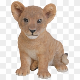 Small Image Of Sitting Lion Cub - Lion Cub Transparent Background, HD Png Download - lion sitting png