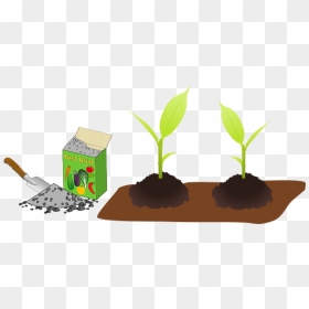 Horticultural Fertilizer - Fertilizer Soil Clipart, HD Png Download - tree garden png