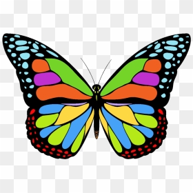 Icon Png Free Butterfly - Transparent Butterfly Icon Png, Png Download - png images of butterfly
