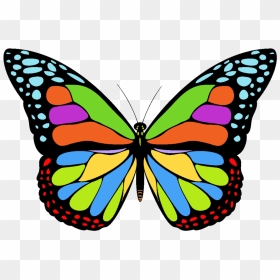 Icon Png Free Butterfly - Transparent Butterfly Icon Png, Png Download - png images of butterfly