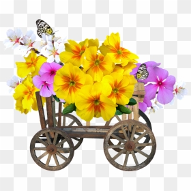 Primrose Flower Yellow, HD Png Download - butterfly png for photoshop