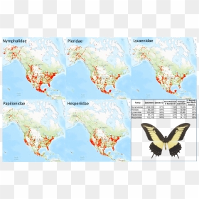Atlas, HD Png Download - butterfly png for photoshop